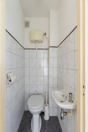 Johan de Wittstraat 266-17.jpg